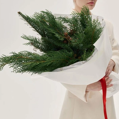 Охапка хвои